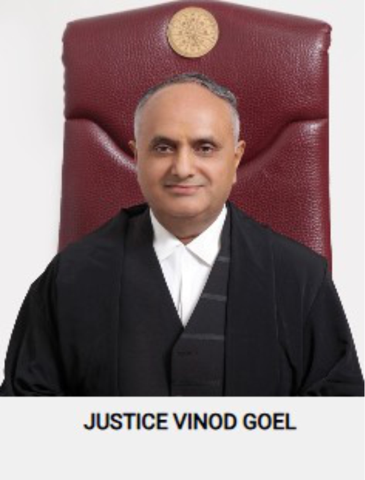 Hon'ble Mr. Justice Vinod Goel